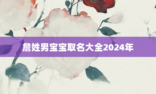 詹姓男宝宝取名大全2024年