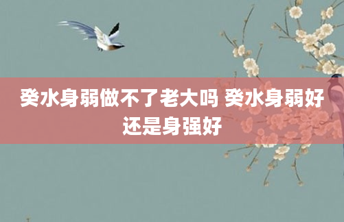 癸水身弱做不了老大吗 癸水身弱好还是身强好