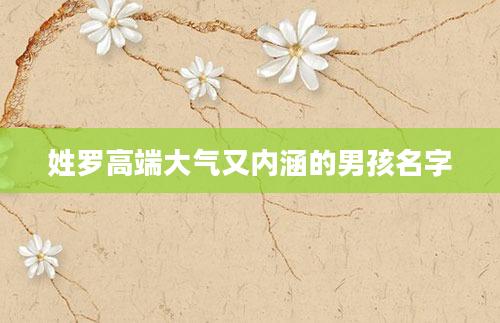 姓罗高端大气又内涵的男孩名字