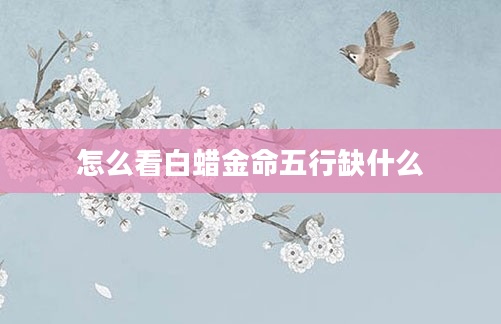 怎么看白蜡金命五行缺什么