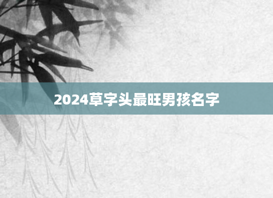 2024草字头最旺男孩名字