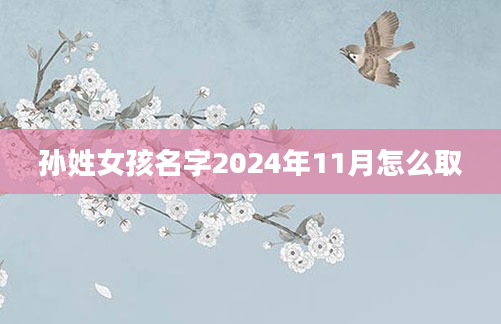 孙姓女孩名字2024年11月怎么取