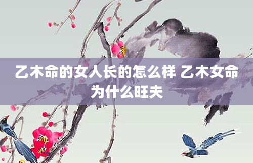 乙木命的女人长的怎么样 乙木女命为什么旺夫
