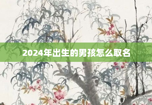 2024年出生的男孩怎么取名