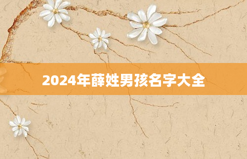 2024年薛姓男孩名字大全