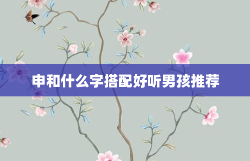 申和什么字搭配好听男孩推荐