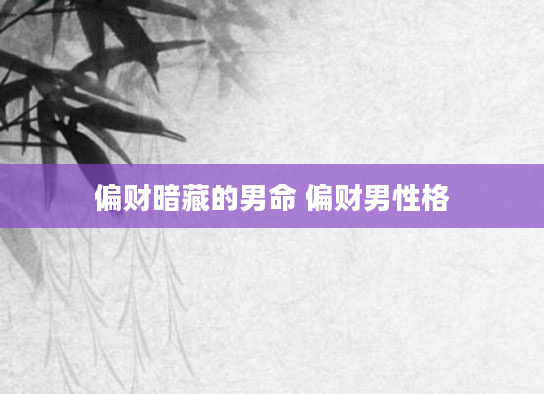 偏财暗藏的男命 偏财男性格