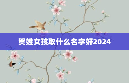 贺姓女孩取什么名字好2024