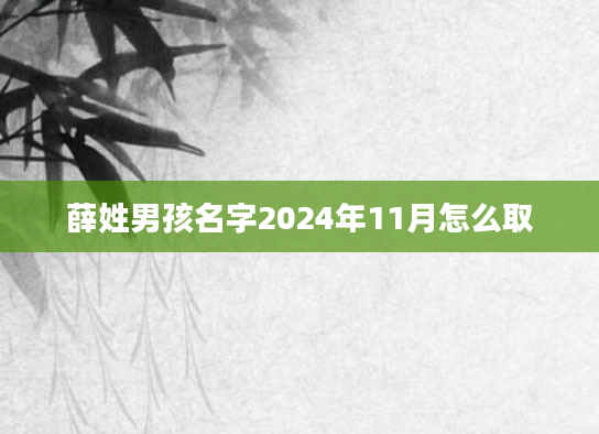 薛姓男孩名字2024年11月怎么取