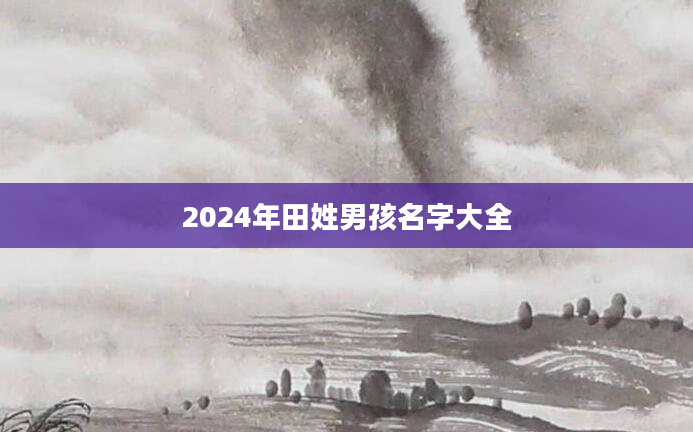 2024年田姓男孩名字大全