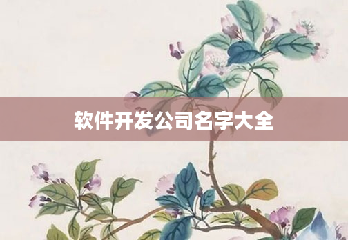 软件开发公司名字大全