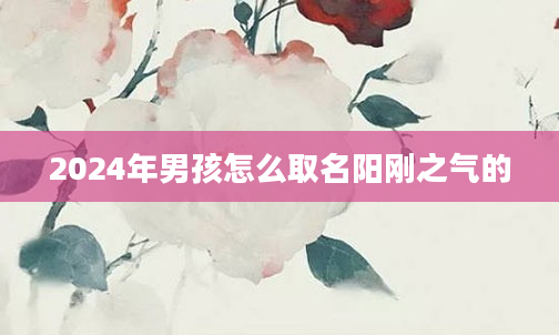 2024年男孩怎么取名阳刚之气的