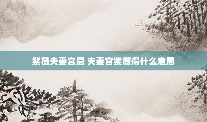 紫薇夫妻宫忌 夫妻宫紫薇得什么意思