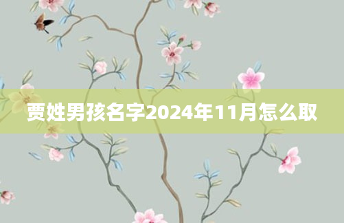 贾姓男孩名字2024年11月怎么取