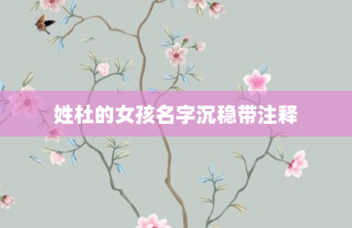 姓杜的女孩名字沉稳带注释