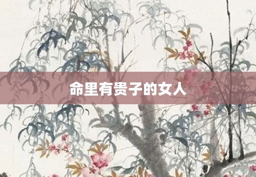 命里有贵子的女人