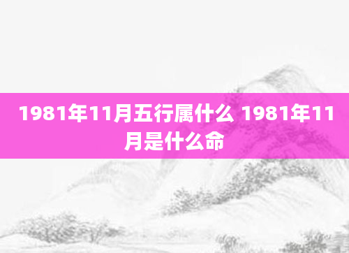 1981年11月五行属什么 1981年11月是什么命