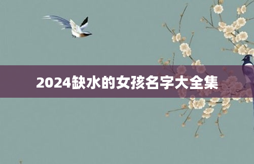 2024缺水的女孩名字大全集