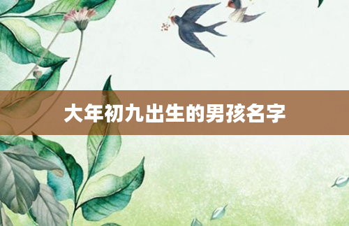 大年初九出生的男孩名字
