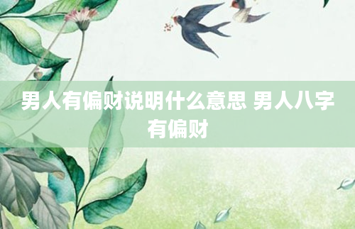 男人有偏财说明什么意思 男人八字有偏财