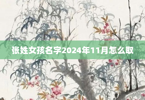 张姓女孩名字2024年11月怎么取
