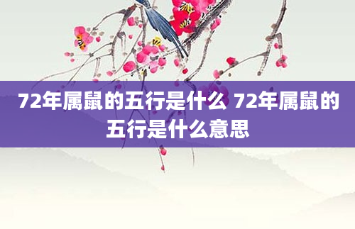 72年属鼠的五行是什么 72年属鼠的五行是什么意思
