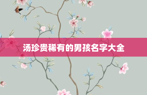 汤珍贵稀有的男孩名字大全