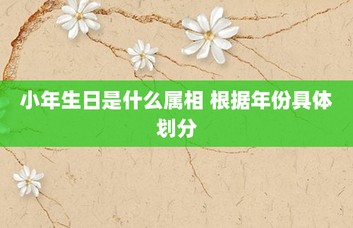 小年生日是什么属相 根据年份具体划分
