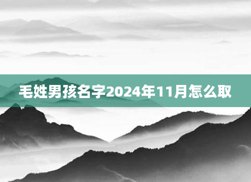 毛姓男孩名字2024年11月怎么取