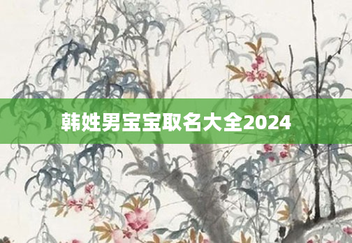韩姓男宝宝取名大全2024