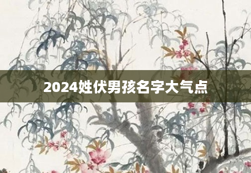 2024姓伏男孩名字大气点