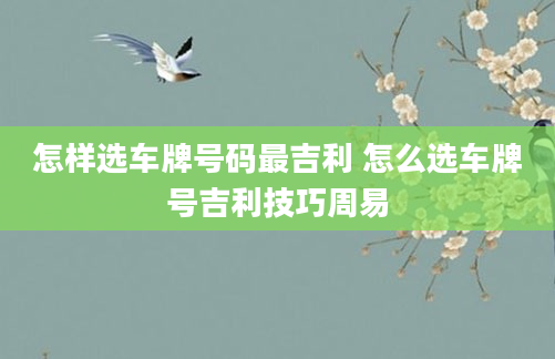 怎样选车牌号码最吉利 怎么选车牌号吉利技巧周易
