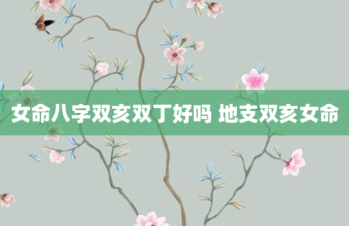 女命八字双亥双丁好吗 地支双亥女命
