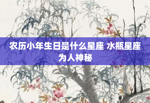 农历小年生日是什么星座 水瓶星座为人神秘