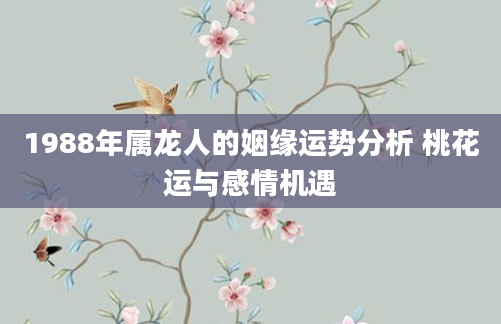 1988年属龙人的姻缘运势分析 桃花运与感情机遇