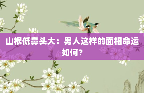 山根低鼻头大：男人这样的面相命运如何？