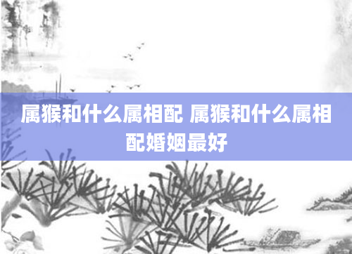 属猴和什么属相配 属猴和什么属相配婚姻最好