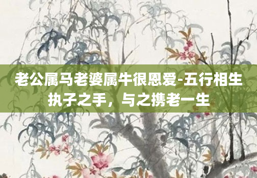 老公属马老婆属牛很恩爱-五行相生执子之手，与之携老一生