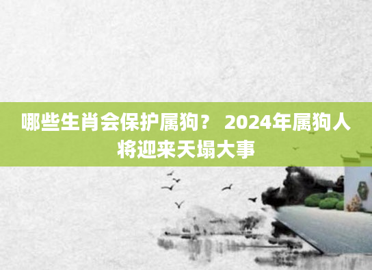哪些生肖会保护属狗？ 2024年属狗人将迎来天塌大事