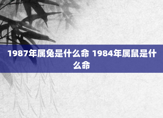 1987年属兔是什么命 1984年属鼠是什么命