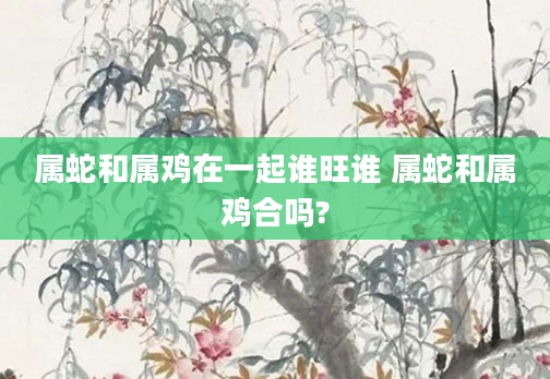 属蛇和属鸡在一起谁旺谁 属蛇和属鸡合吗?