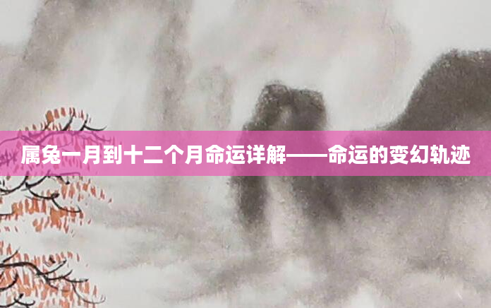 属兔一月到十二个月命运详解——命运的变幻轨迹