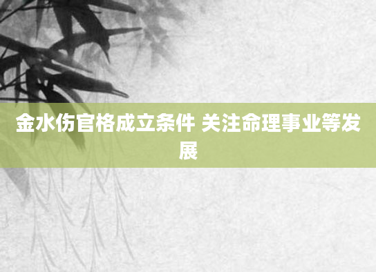金水伤官格成立条件 关注命理事业等发展