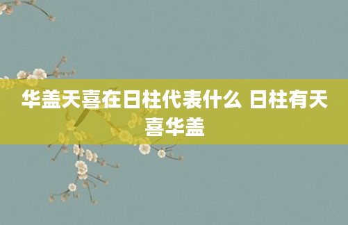 华盖天喜在日柱代表什么 日柱有天喜华盖
