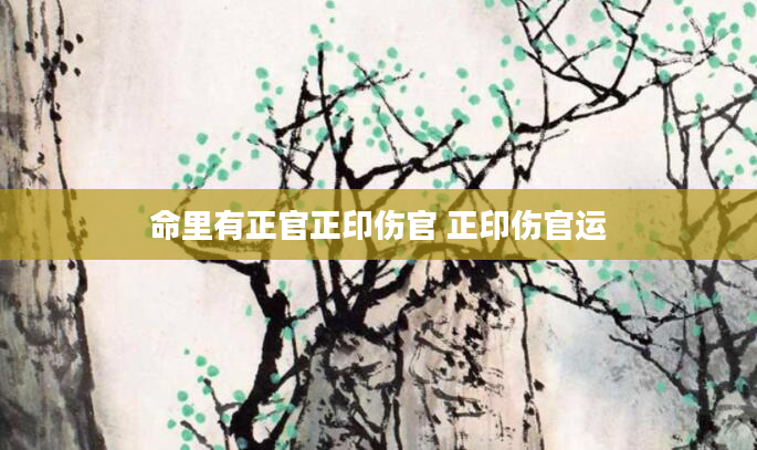 命里有正官正印伤官 正印伤官运