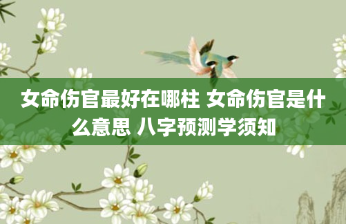 女命伤官最好在哪柱 女命伤官是什么意思 八字预测学须知