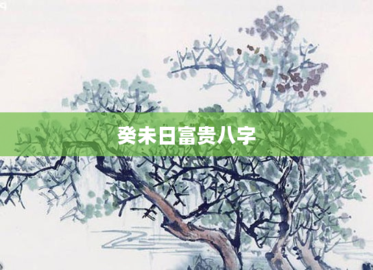癸未日富贵八字