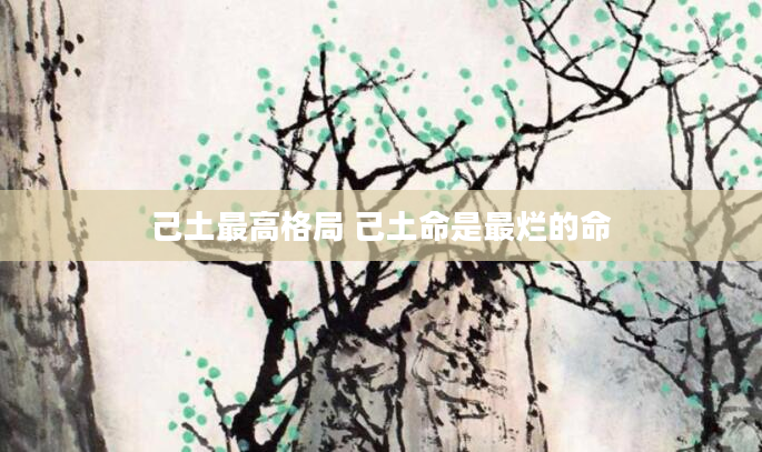 己土最高格局 己土命是最烂的命