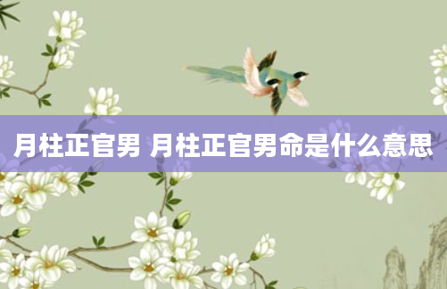 月柱正官男 月柱正官男命是什么意思