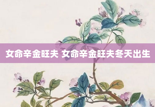女命辛金旺夫 女命辛金旺夫冬天出生